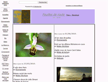 Tablet Screenshot of feuillesderoute.net